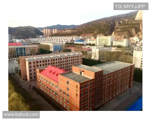 喜百年盛典共庆辉煌岁月传承文化新篇章